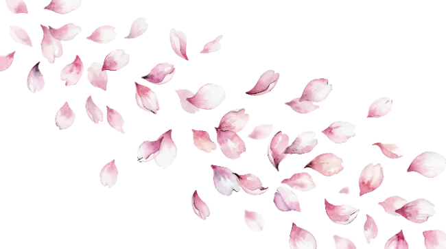 Watercolor Falling Pink Flower Petals