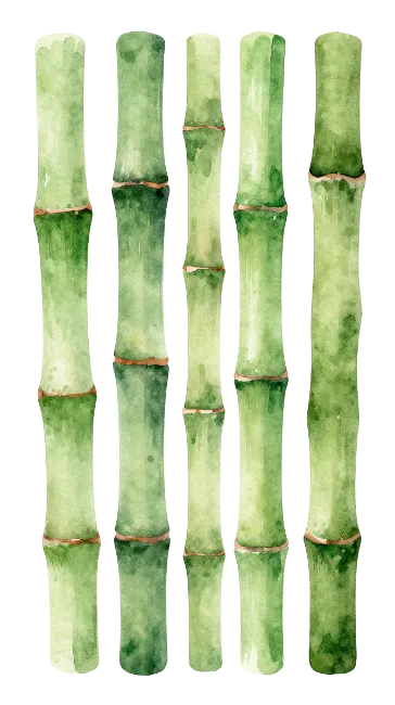 Watercolor Green Bamboo Stalks