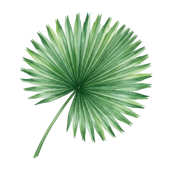Watercolor Green Fan Palm Leaf