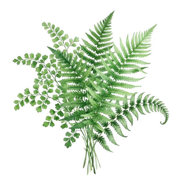 Watercolor Green Fern Fronds Bouquet