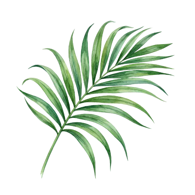 Watercolor green palm tree frond illustration