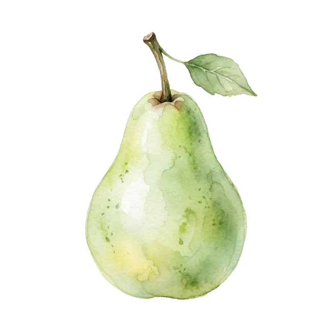 Watercolor green pear fruit illustration