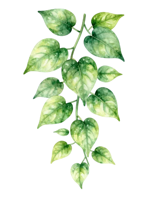 Watercolor Green Vine Leaves