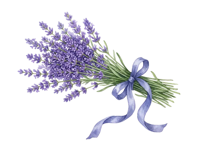 Watercolor lavender bouquet illustration with ribbon