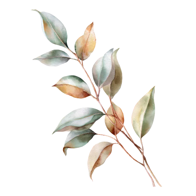 Watercolor Leafy Branch Illustration