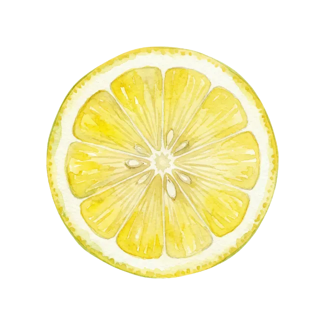 Watercolor Lemon Slice
