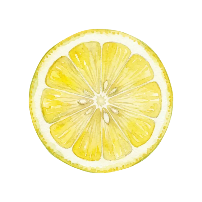 Watercolor Lemon Slice