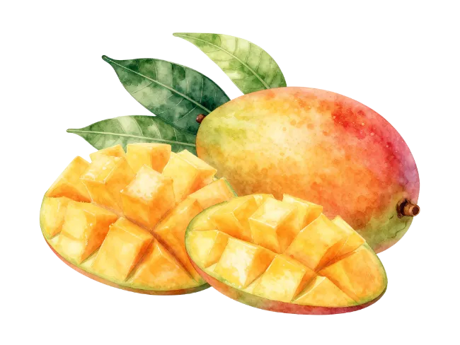 Watercolor mango fruit with slices and leaves