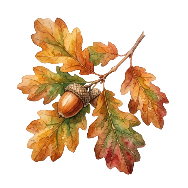 Watercolor Oak Leaves and Acorns Branch