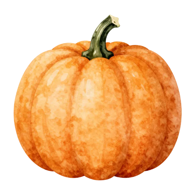 Watercolor Orange Pumpkin Illustration