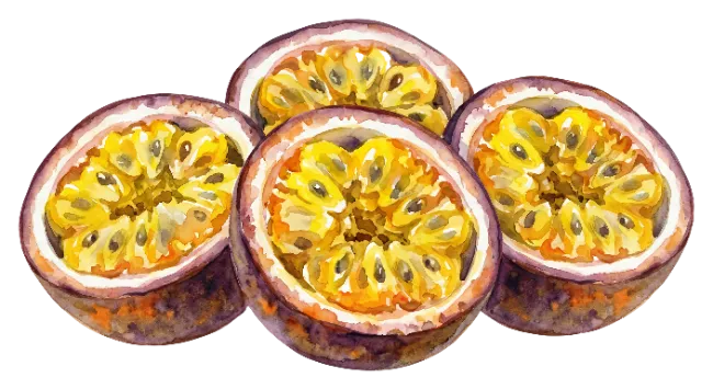 Watercolor Painting of Halved Passion Fruit