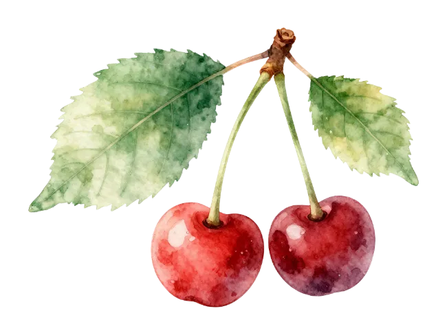 Watercolor Painting of Red Cherries with Leaves