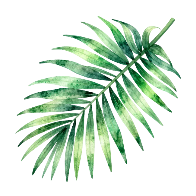 Watercolor Palm Leaf Illustration