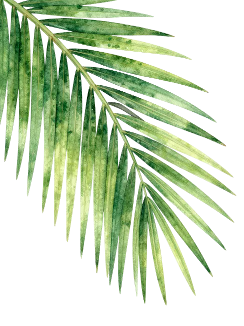 Watercolor Palm Leaf Illustration