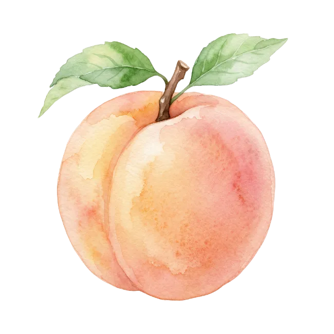 Watercolor Peach Illustration with Leaves