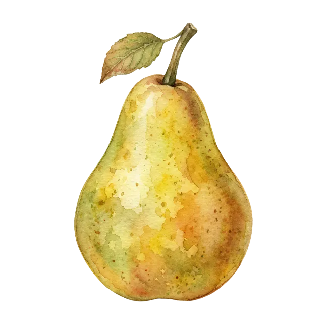 Watercolor Pear Fruit Illustration