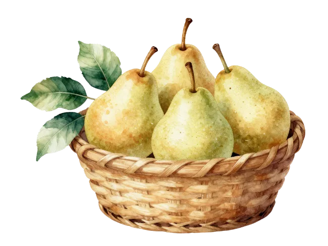 Watercolor pears in a wicker basket