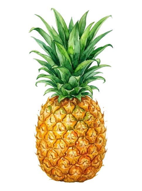 Watercolor Pineapple Fruit Illustration