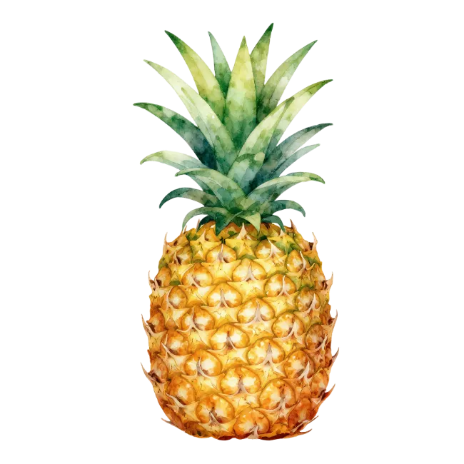 Watercolor Pineapple Fruit Illustration
