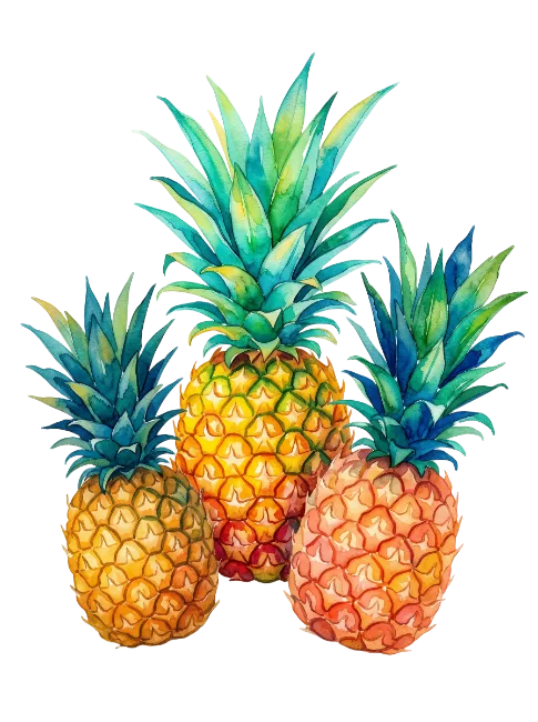 Watercolor Pineapple Illustration
