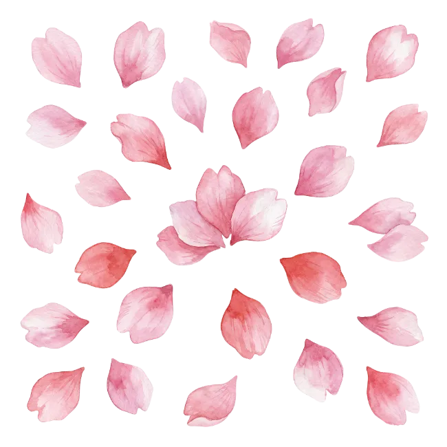 Watercolor Pink Cherry Blossom Petals Set