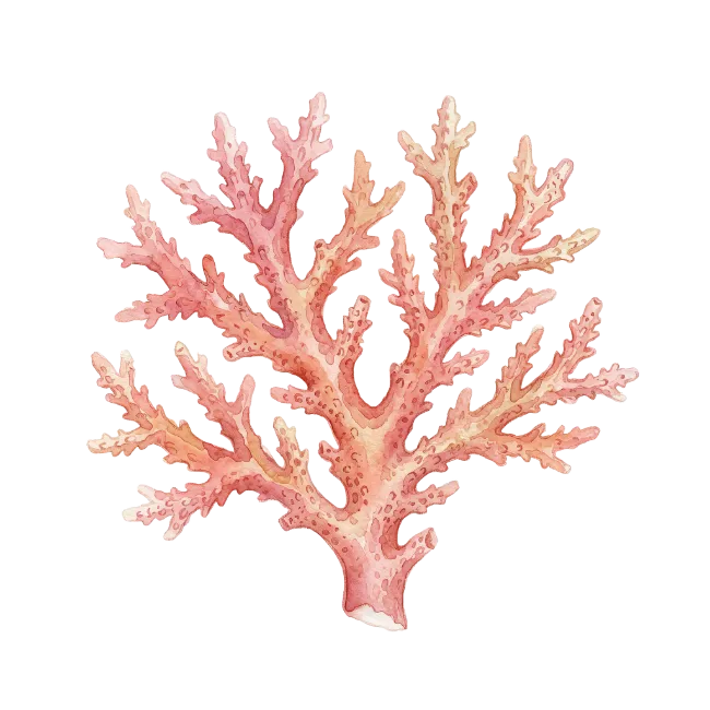 Watercolor Pink Coral Reef Illustration