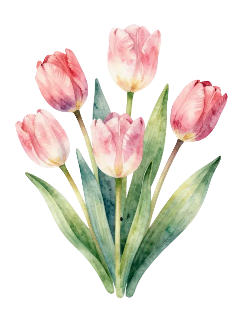 Watercolor Pink Tulip Bouquet