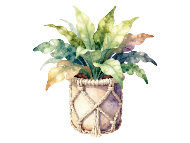 Watercolor Potted Houseplant Illustration