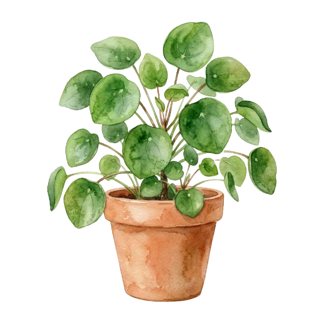 Watercolor Potted Plant Illustration