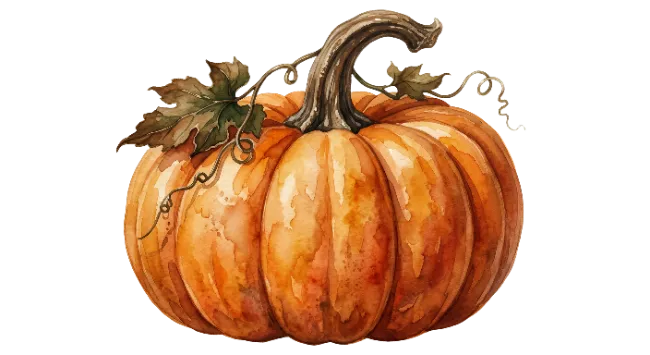 Watercolor Pumpkin Illustration with Leaves and Vine