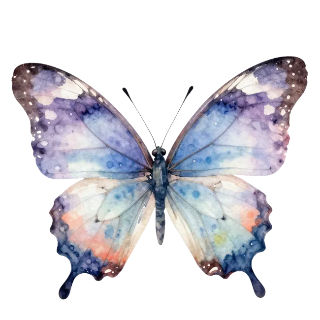 Watercolor Purple Butterfly Illustration