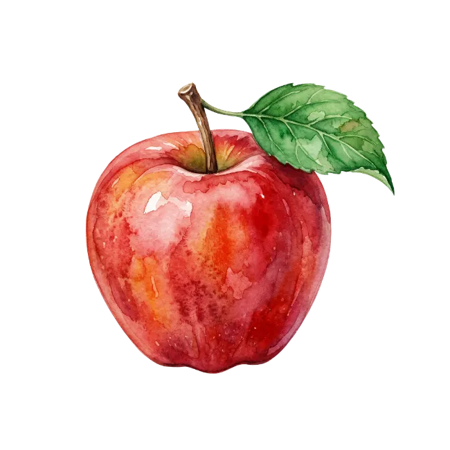 Watercolor Red Apple Illustration