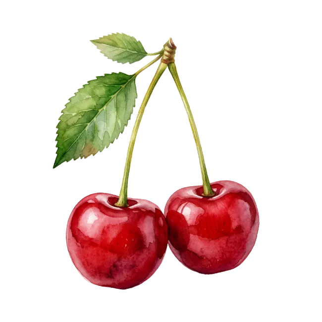 Watercolor Red Cherries with Leaves