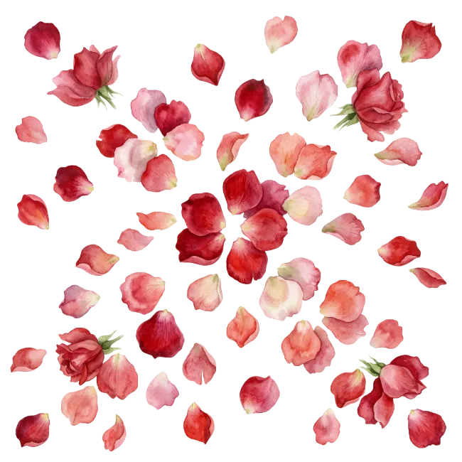 Watercolor Red Rose Petals And Flowers Collection