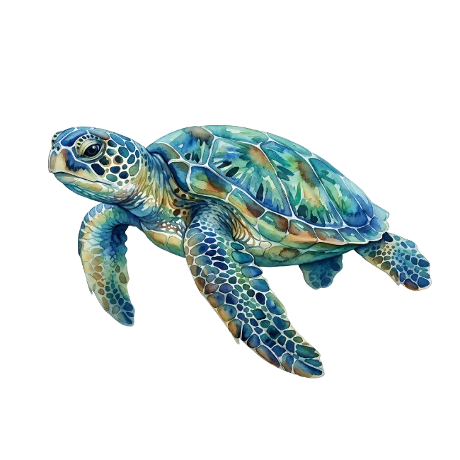 Watercolor Sea Turtle Illustration