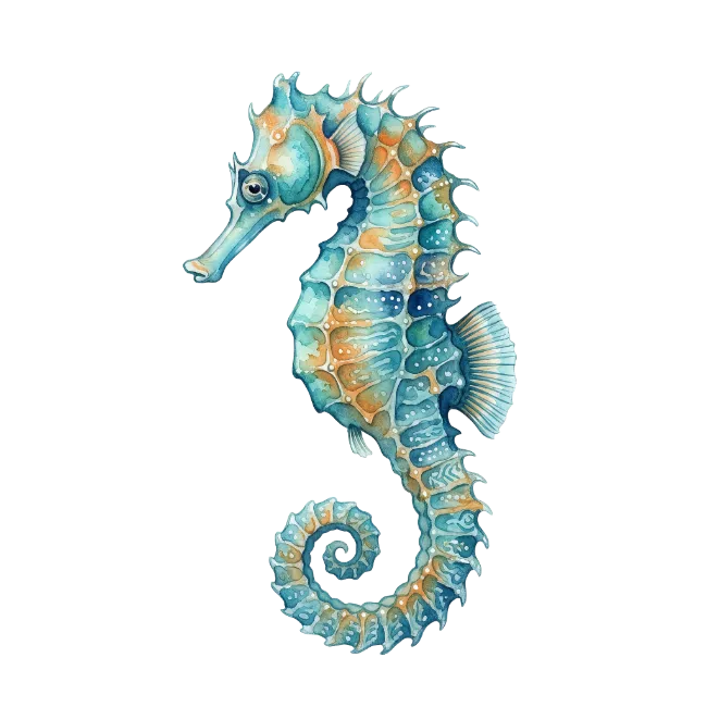 Watercolor Seahorse Illustration