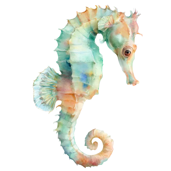 Watercolor Seahorse Illustration