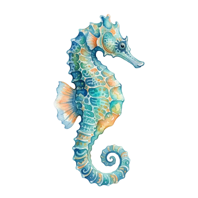 Watercolor Seahorse Illustration
