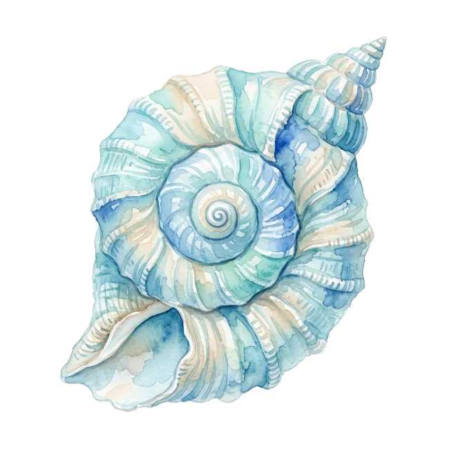 Watercolor Seashell Illustration