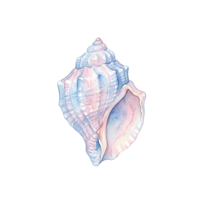 Watercolor Seashell Illustration