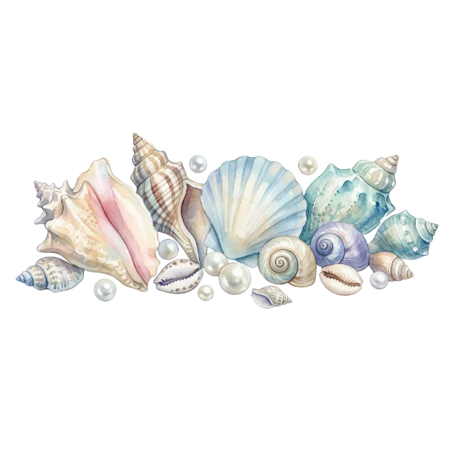 Watercolor Seashells and Pearls Arrangement