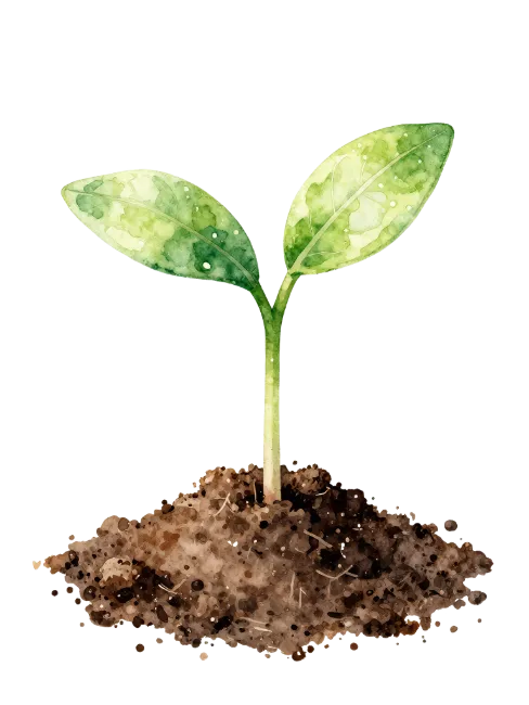 Watercolor sprout growing from soil illustration