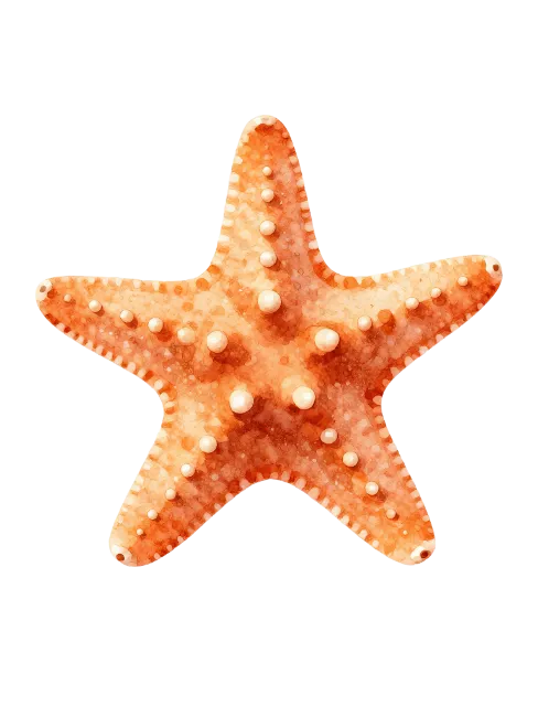 Watercolor Starfish Illustration