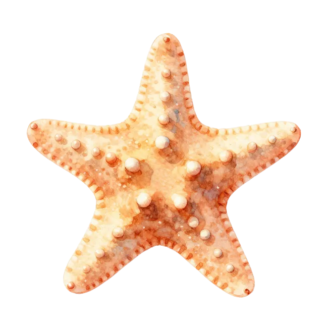 Watercolor Starfish Illustration
