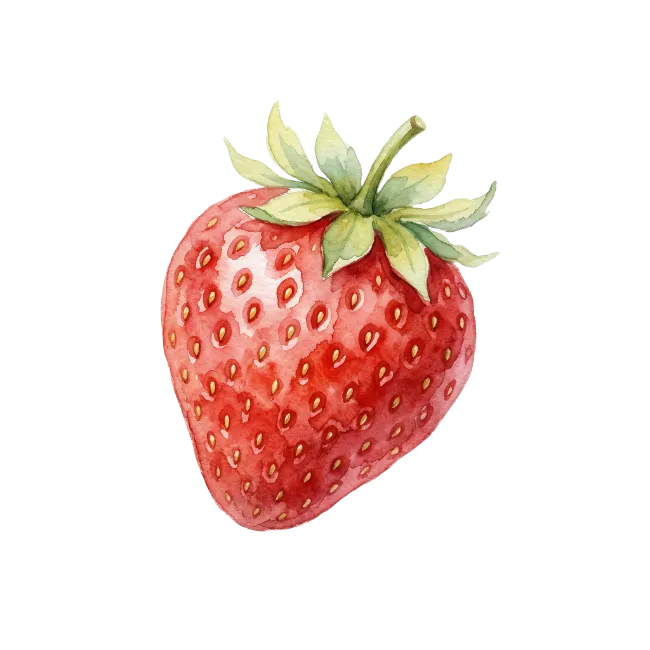 Watercolor Strawberry Fruit Illustration