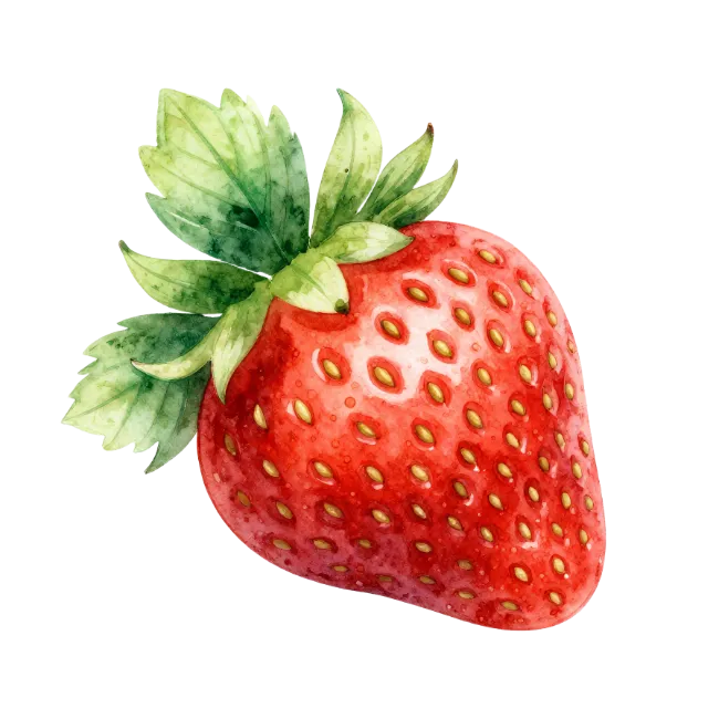 Watercolor Strawberry Illustration