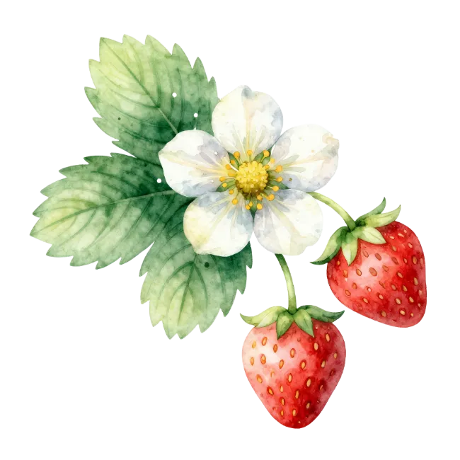 Watercolor strawberry plant with flower and fruit
