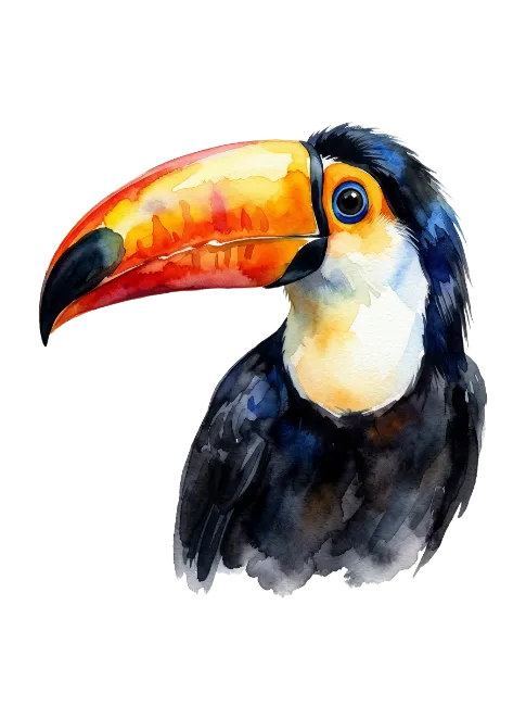 Watercolor Toucan Bird Illustration