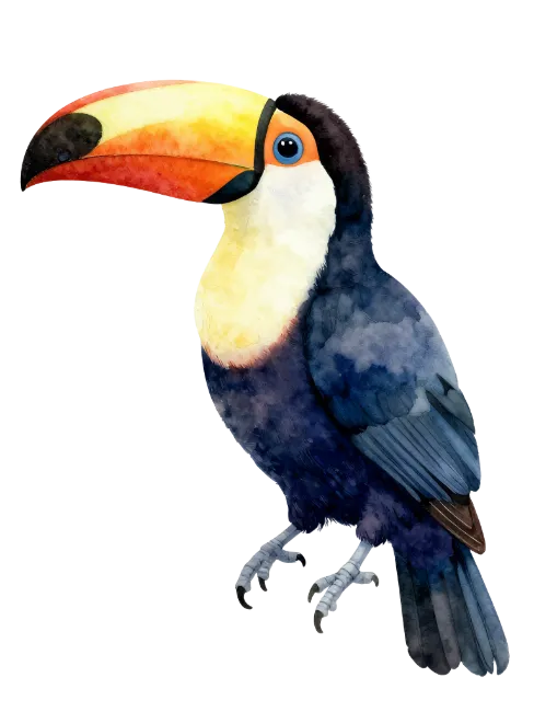 Watercolor Toucan Bird Illustration