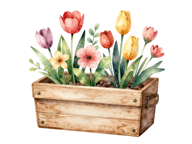 Watercolor Tulips in Wooden Planter Box